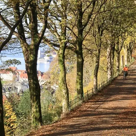 Rose I 1890 - 2024 Reno I 15 Min To Bryggen Semesterbostad Bergen